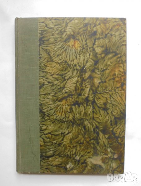 Стара книга Цариградъ. Археологически и исторически сведения - Архимандрит Гавриил 1928 г., снимка 1