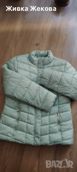яке цвят мента , снимка 1