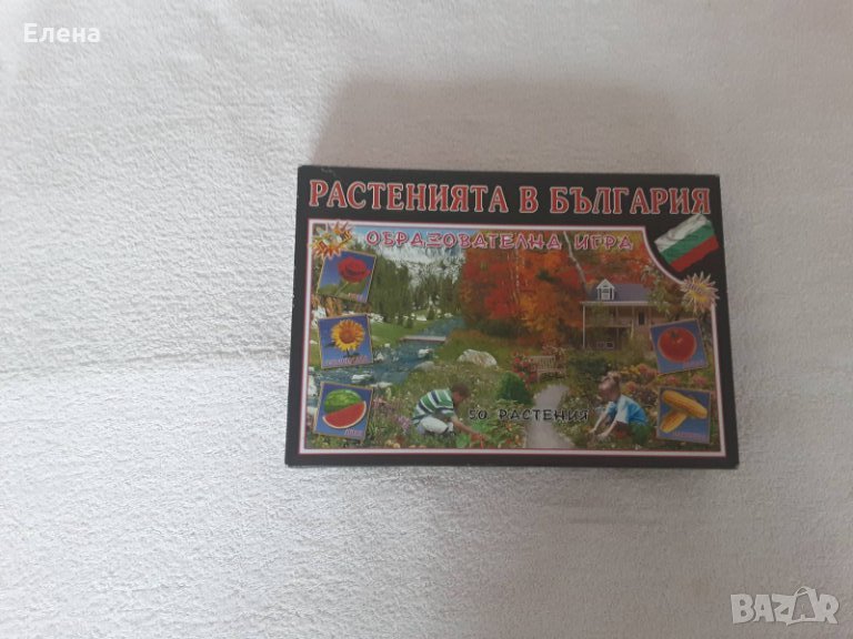 Растенията в България, снимка 1