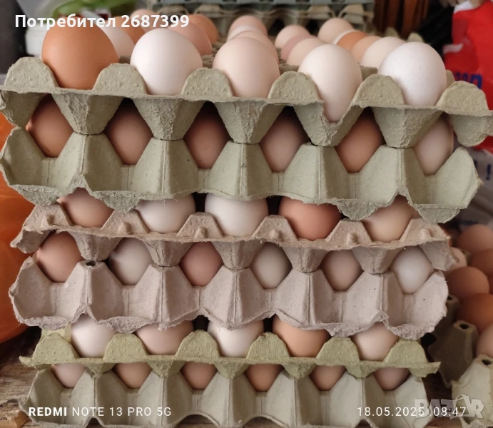 Домашни яйца, снимка 1