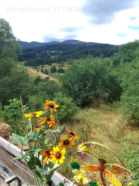 Дворно место 224м2 Лилково, снимка 1