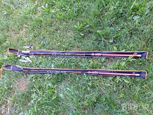Въдица Болонезе Daiwa Exceler 5m и 6m, снимка 1