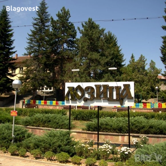 Къща с 2 декара двор, снимка 1