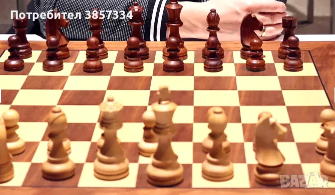 Шах фигури професионални, снимка 1
