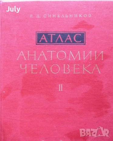 Атлас анатомии человека, Том 2, Р. Д. Синельников, снимка 1