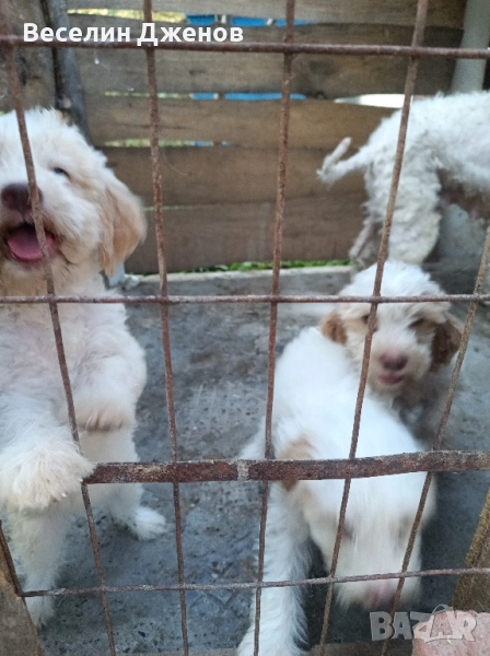 лагото Романьоли , снимка 1