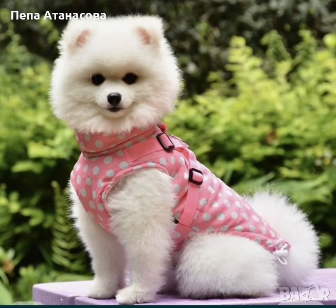 Яке за куче, снимка 1