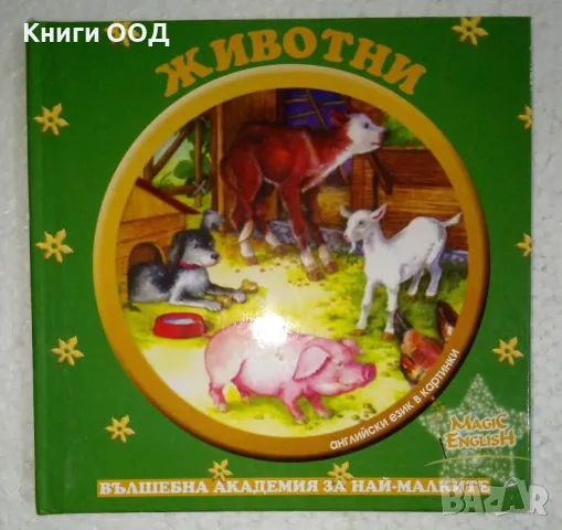 Английски език в картинки: Животни и Играчки, снимка 1