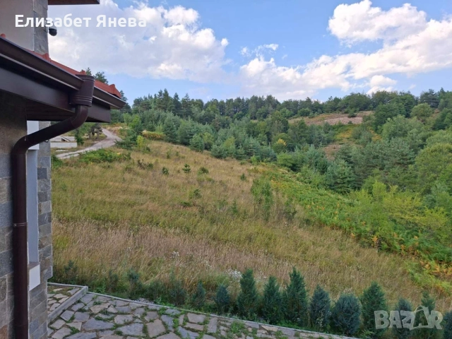 Предлагаме за продажба два парцела с. Мостово, сменен статут, ток и вода, снимка 3 - Парцели - 51446327