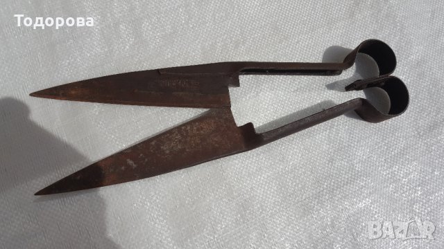 Старинна ножица за стригане на животни, снимка 1 - Антикварни и старинни предмети - 28383853