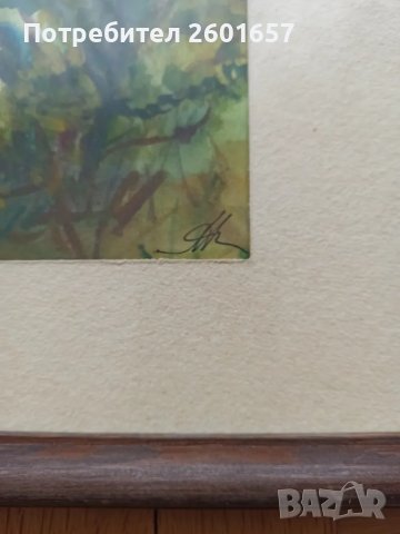 Красив акварел, А. Касабова, снимка 2 - Картини - 48950677