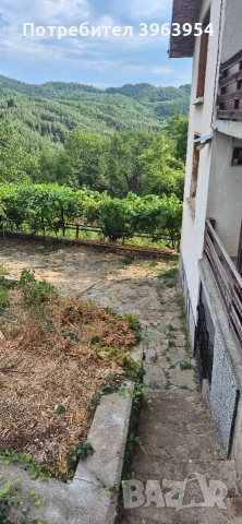 Продавам къща в с. Горно Хърсово, Благоевград , снимка 6 - Къщи - 53302013