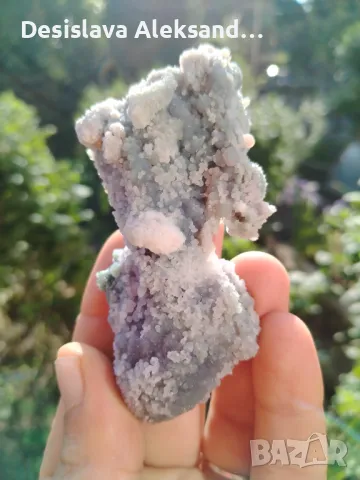 Гроздов ахат от Индонезия, много изгодно , снимка 4 - Колекции - 47363217