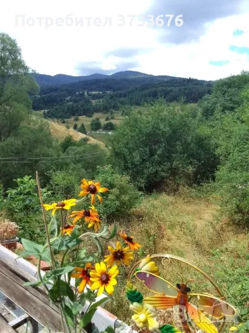 Дворно место 224м2 Лилково