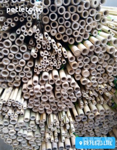 Бамбукови колчета Ф 16 мм - Ф 18 мм / 2,10 метра, снимка 4 - Разсади - 36886966