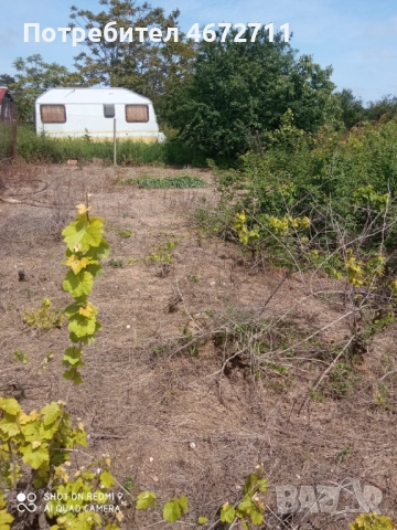 Дворно място с къща и стопански постройки, снимка 9 - Парцели - 52705176