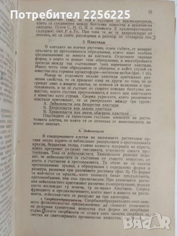 Земеделска ботаника 1947г, снимка 3 - Специализирана литература - 51165729