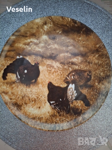 Колекционерски чинии за стена , снимка 2 - Декорация за дома - 51543115