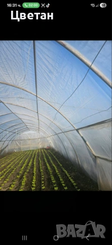 Оранжерии на 3г. + найлон, снимка 7 - Оранжерии - 53009529