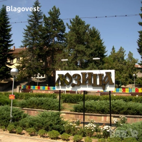 Къща с 2 декара двор