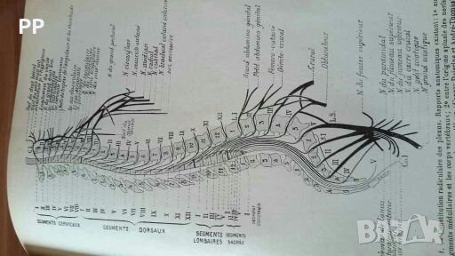 Нервни болести Хенри Клод на френски , снимка 7 - Специализирана литература - 27903262