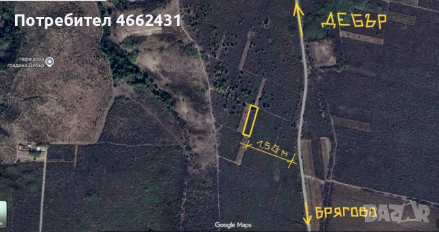  Парцел 2320 м2 - отличен за лозе/градина/пчелин, до път Дебър–Брягово, снимка 10 - Парцели - 52562178