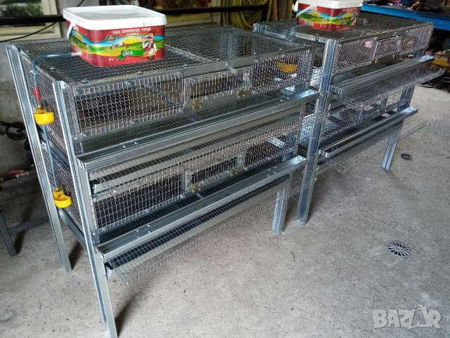 Клетки за пъдпъдъци , снимка 10 - За птици - 25557401