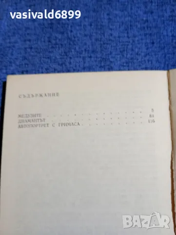 Димитър Василев - Автопортрет с гримаса , снимка 5 - Българска литература - 48043929
