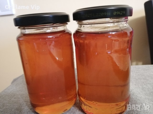 Боров мед, снимка 2 - Домашни продукти - 43534744