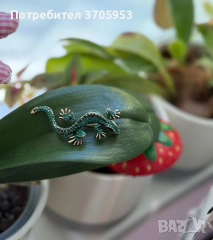 Нови брошки от 4лв., снимка 10 - Други - 52786793