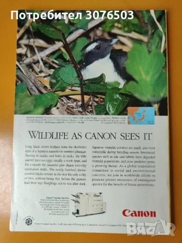 National Geographic Sept'99, снимка 2 - Списания и комикси - 51117912