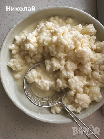 Тибетска кефирна гъба, снимка 3 - Домашни напитки - 51936842