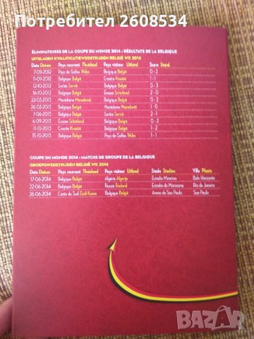 ОРИГИНАЛЕН ФУТБОЛЕН ПЛАКЕТ - БЕЛГИЯ, снимка 8 - Нумизматика и бонистика - 38539445