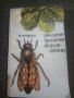 Н.Иойрши: Пчелите-крилати фармацевти, снимка 1 - Други - 27084318
