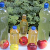  ябълков натурален оцет -4 лв литъра, снимка 1 - Хранителни добавки - 34881233