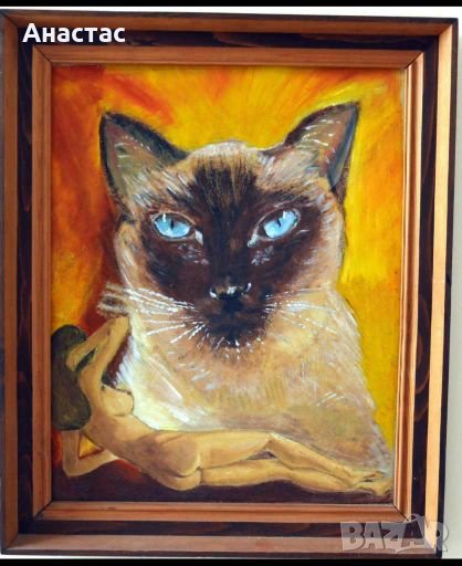 Сиямско, усещане ., снимка 1