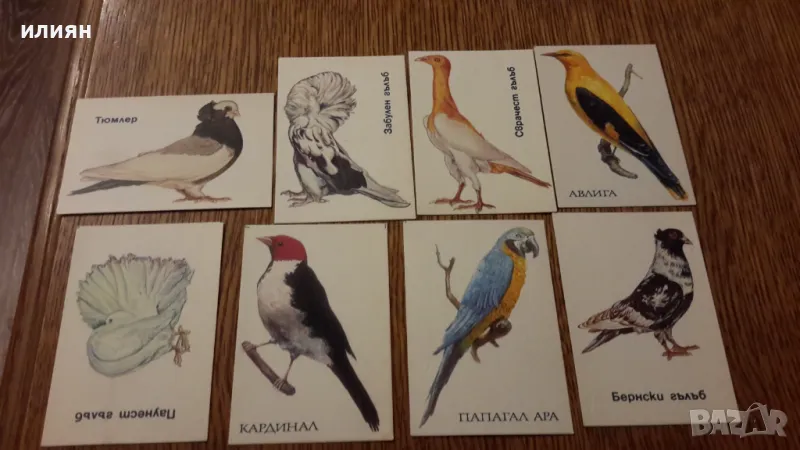 Стари календарчета 15лв за всички , снимка 1