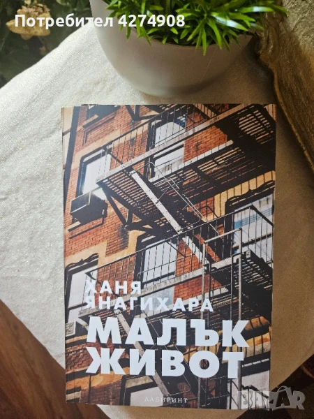 Малък живот - Ханя Янагихара, снимка 1