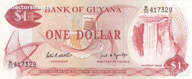 1 долар 1989, Гвиана, снимка 1