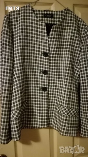 сако пипит, снимка 1