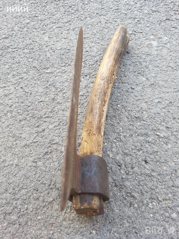 Брадва кривица с печат , снимка 1