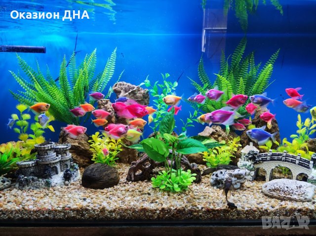 Обурудване за аквариум помпа Bluware,нагреватеел Bluclima,авт.хранилка, снимка 9 - Оборудване за аквариуми - 43212884