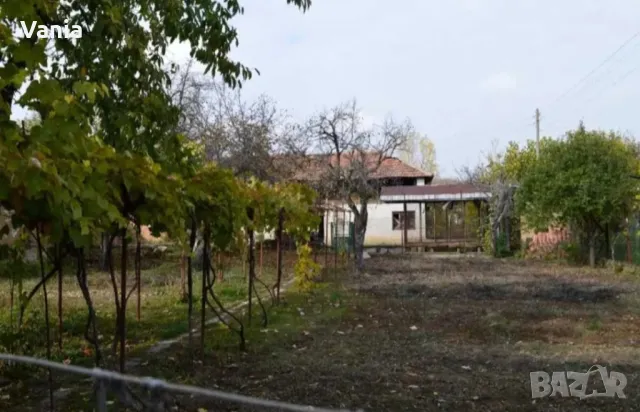 Вила под наем , снимка 4 - Вили - 48984758