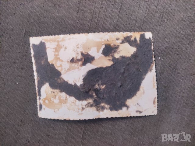 Снимка 1 май 1946 Кюстендил, снимка 2 - Други ценни предмети - 43253597