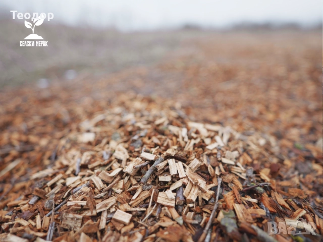 Широколистен чипс за градини, овошки и лехи – доставка с камион, снимка 5 - Тор и почвени смеси - 52252587