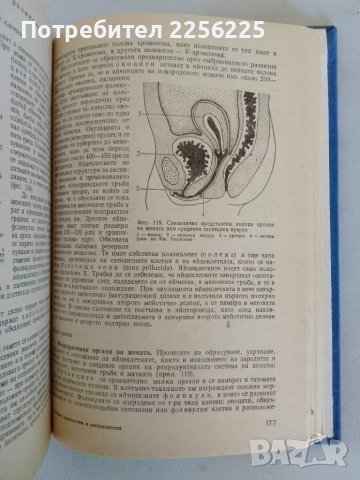 Обща хистология и ембриология, снимка 6 - Специализирана литература - 47491749