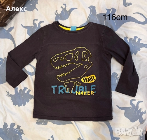 Блузки и панталони за момче на 5-6 години 5лв за брой, снимка 12 - Детски Блузи и туники - 52472051