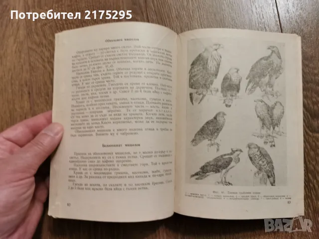 Наръчник на ловеца и риболовеца-Земиздат 1974г., снимка 13 - Специализирана литература - 49699300