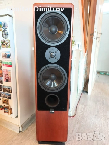 Аудиофилски тонколони Canton Ergo RC-S – Като нови, Първи собственик, Real Wood