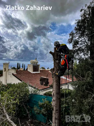 Рязане,оформяне,укрепване на опасни дървета , снимка 13 - Други услуги - 39864280